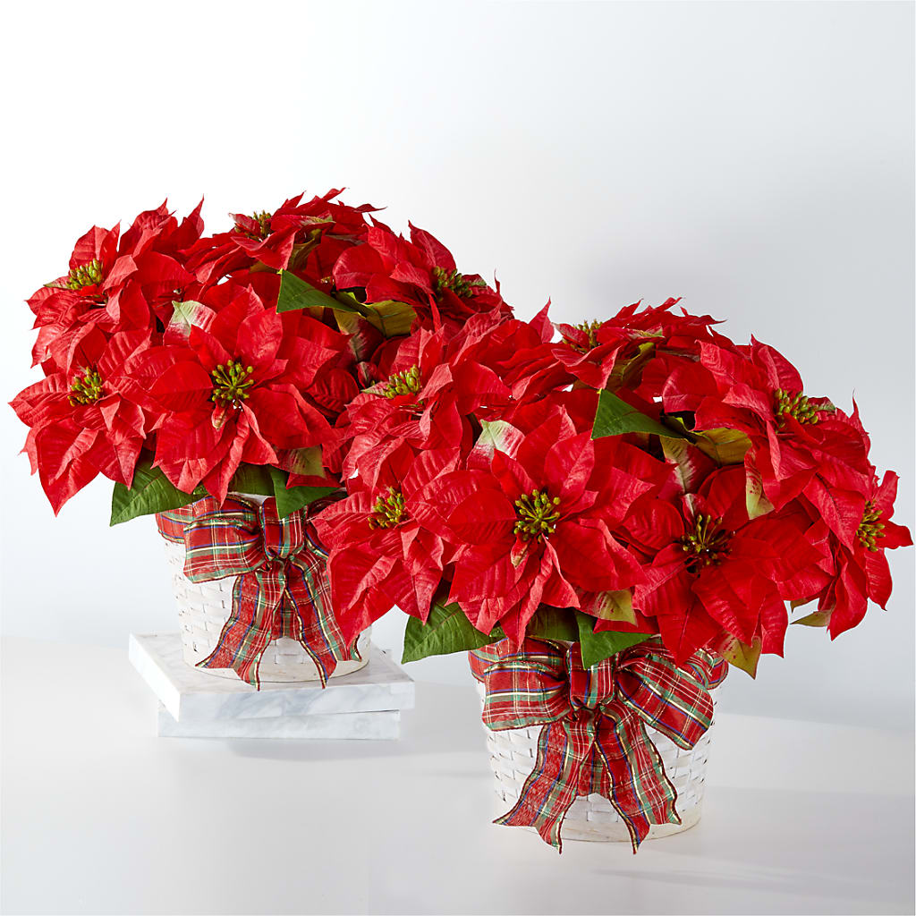 Happiest Holidays Poinsettia Bundle – J Flowers, Tipp City OH
