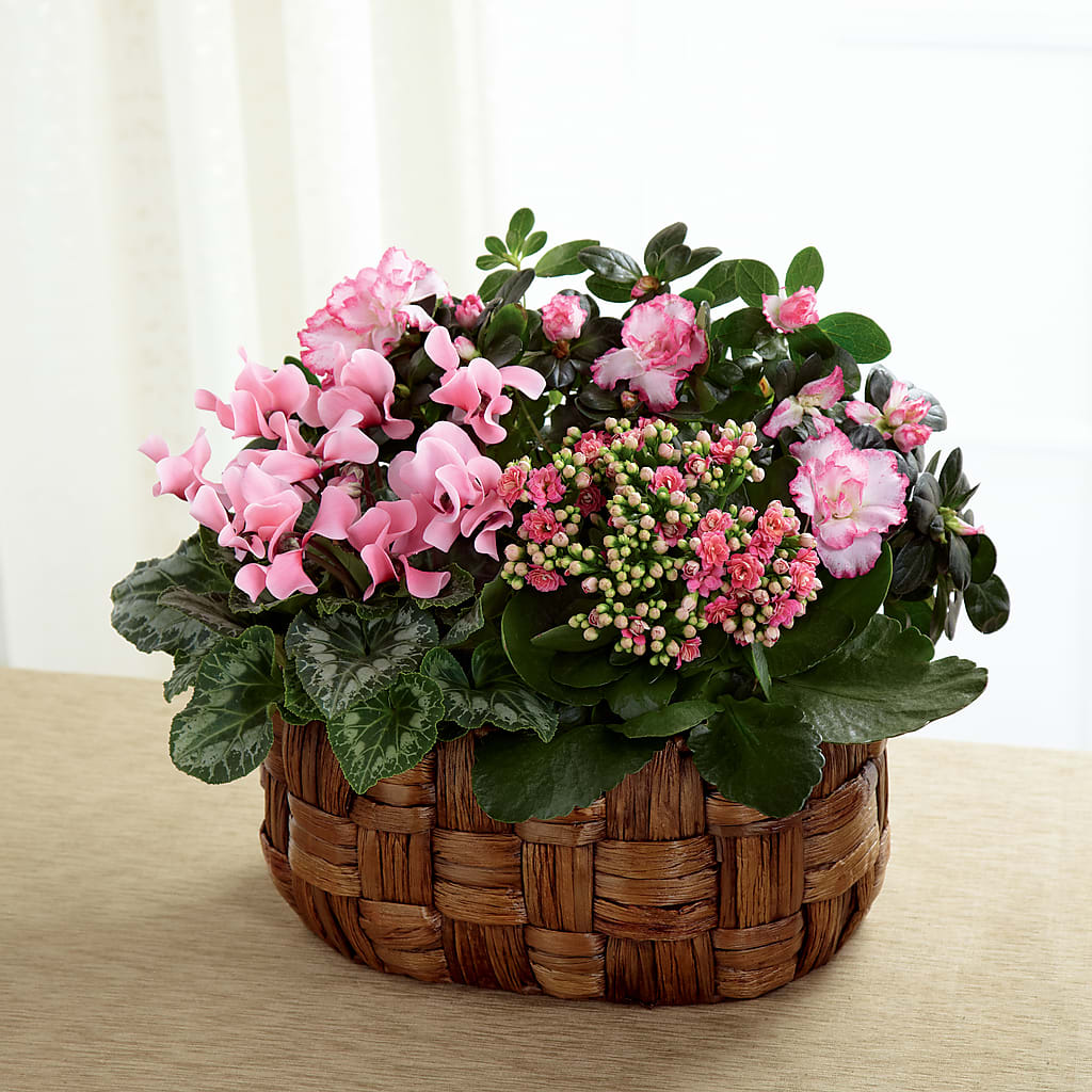 Pink Assortment – J Flowers, Tipp City OH