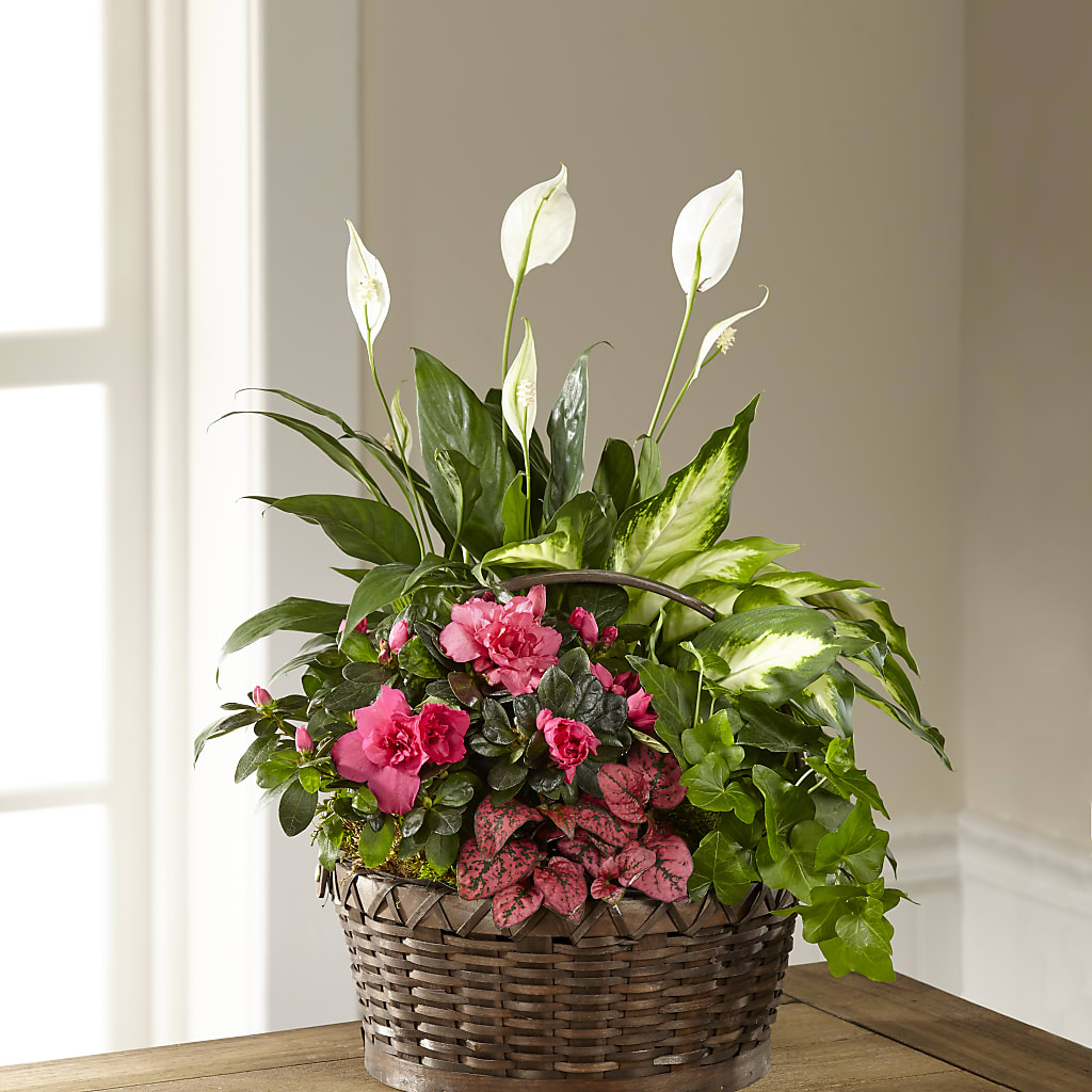 Dream in Pink Dishgarden – J Flowers, Tipp City OH
