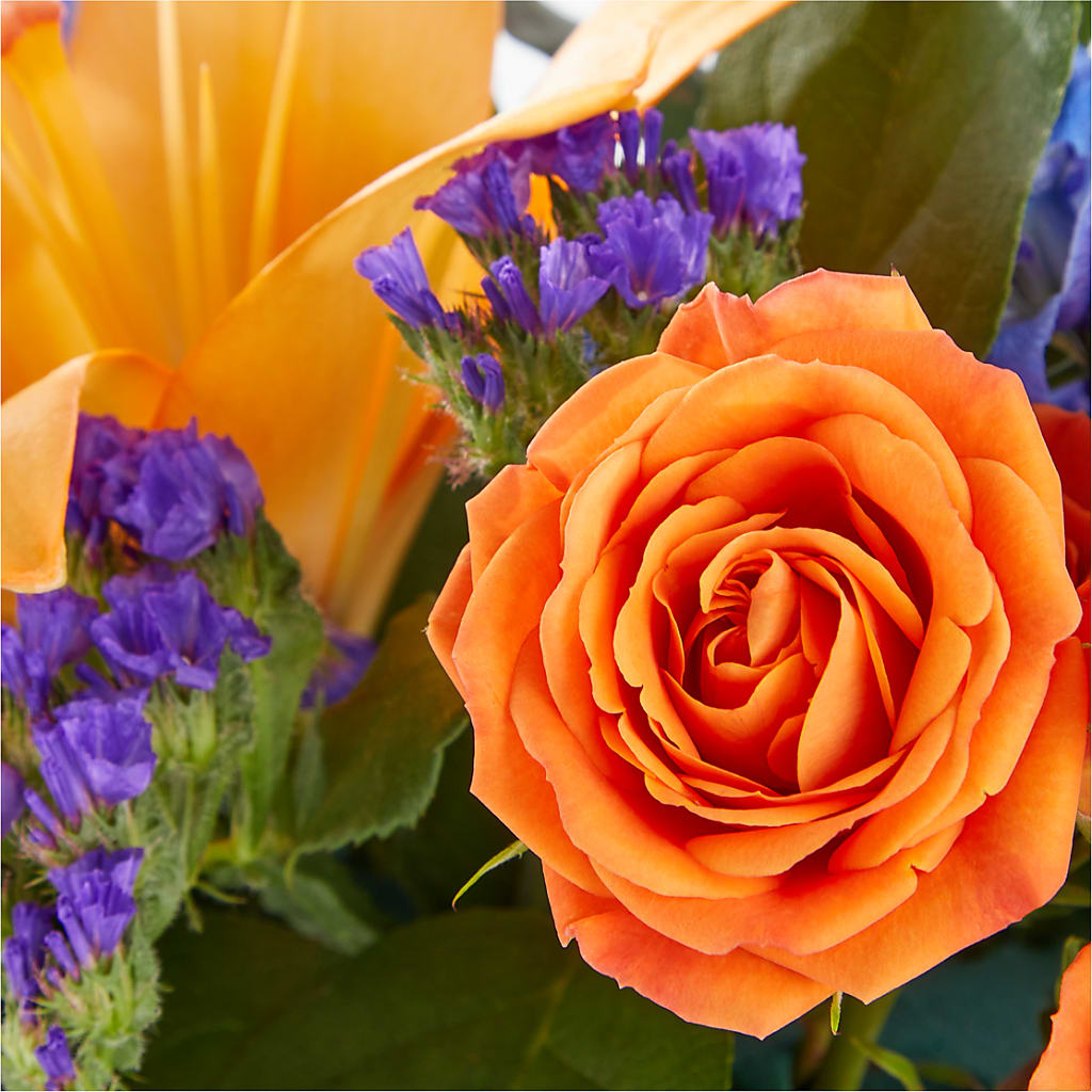 Radiant Citrus Box Bouquet – J Flowers, Tipp City OH