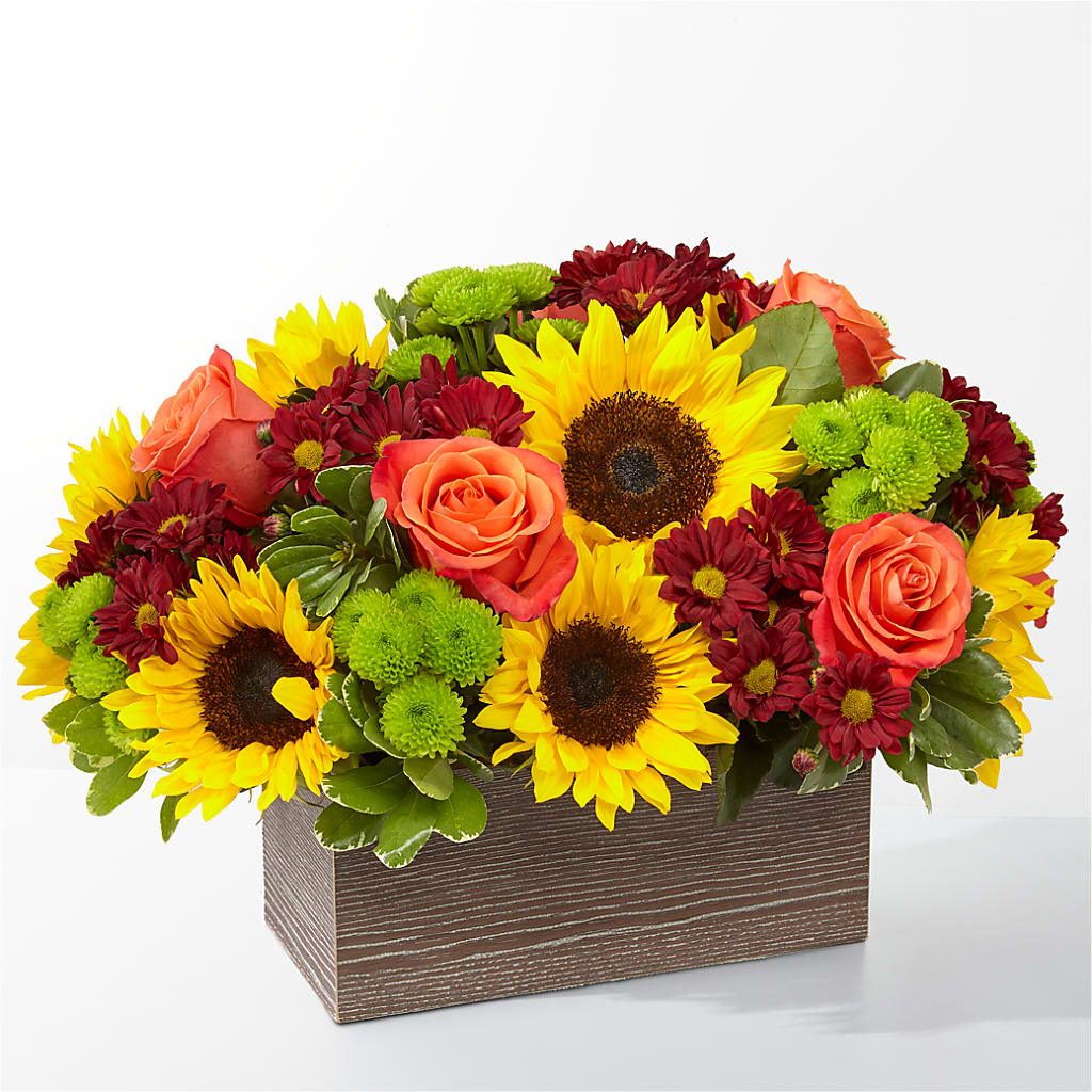 Happy Harvest Garden – J Flowers, Tipp City OH