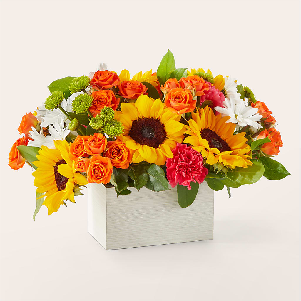 Sun-drenched Blooms Box Bouquet – J Flowers, Tipp City OH