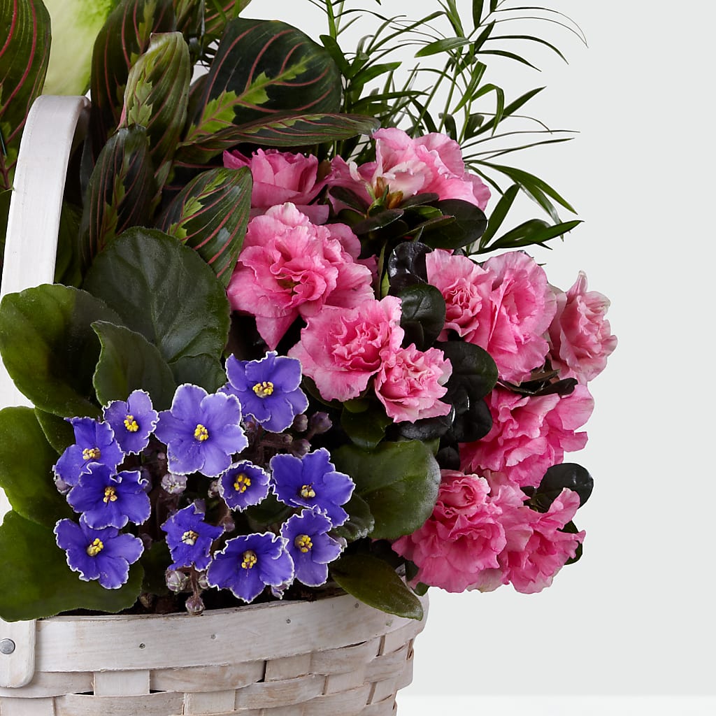 Peaceful Garden Planter – J Flowers, Tipp City OH