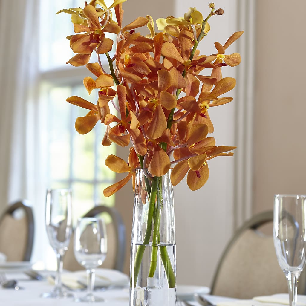 Orange Mokara Bud Vase – J Flowers, Tipp City OH