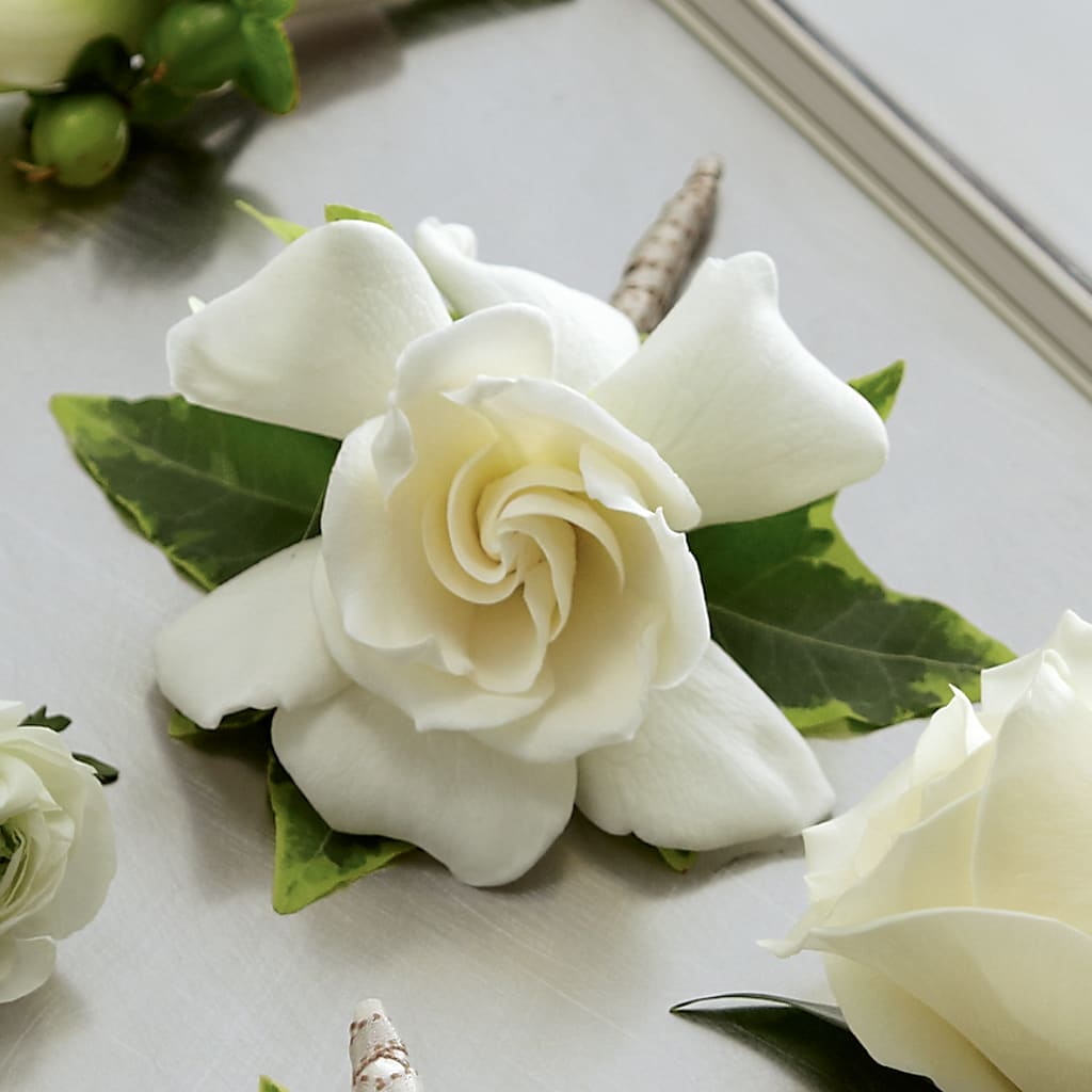 Gardenia Boutonniere – J Flowers, Tipp City OH