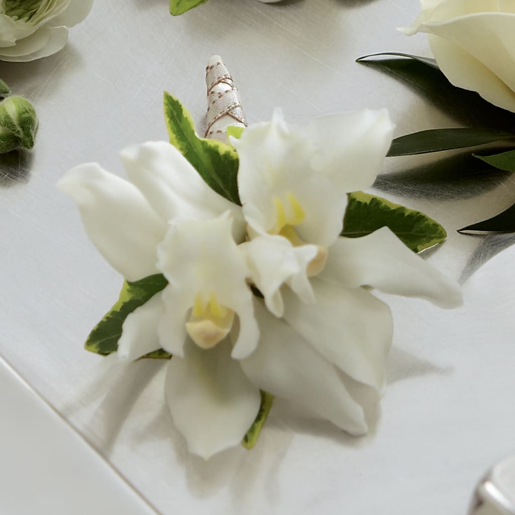 White Mini Cymbidium Boutonniere – J Flowers, Tipp City OH