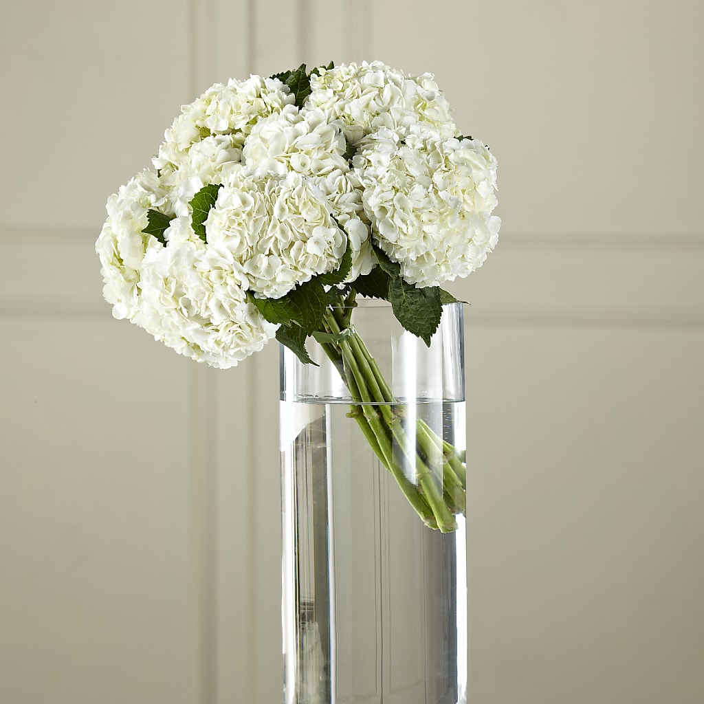 White Hydrangea Hand-Tied Bouquet – J Flowers, Tipp City OH