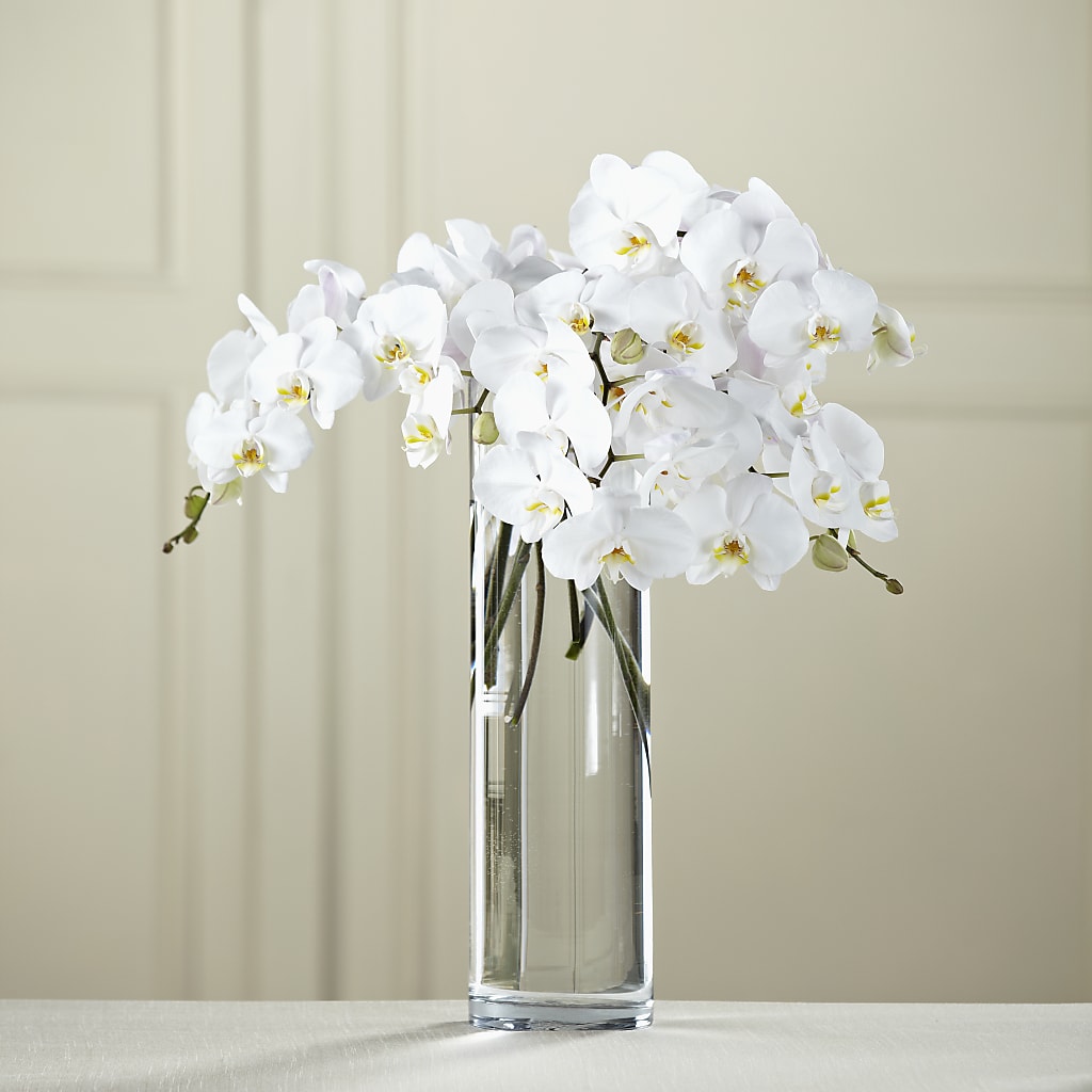 White Phalaenopsis Bouquet – J Flowers, Tipp City OH