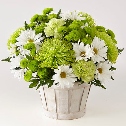 Lucky Charm Basket (Standard) –  J Flowers, Tipp City OH