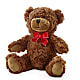 Adorable Plush Bear –  J Flowers, Tipp City OH