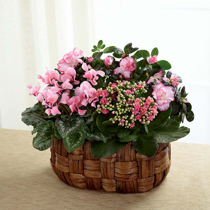 Pink Assortment –  J Flowers, Tipp City OH