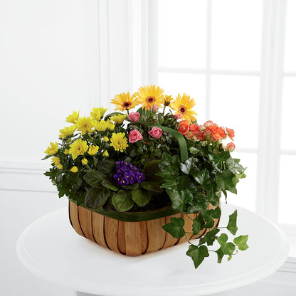 Gentle Blossoms Basket –  J Flowers, Tipp City OH