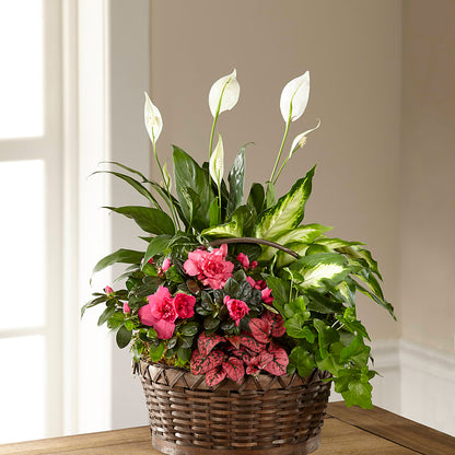 Dream in Pink Dishgarden –  J Flowers, Tipp City OH