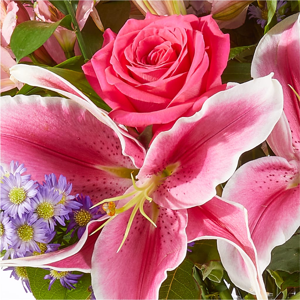 Written in the Stars Bouquet –  J Flowers, Tipp City OH