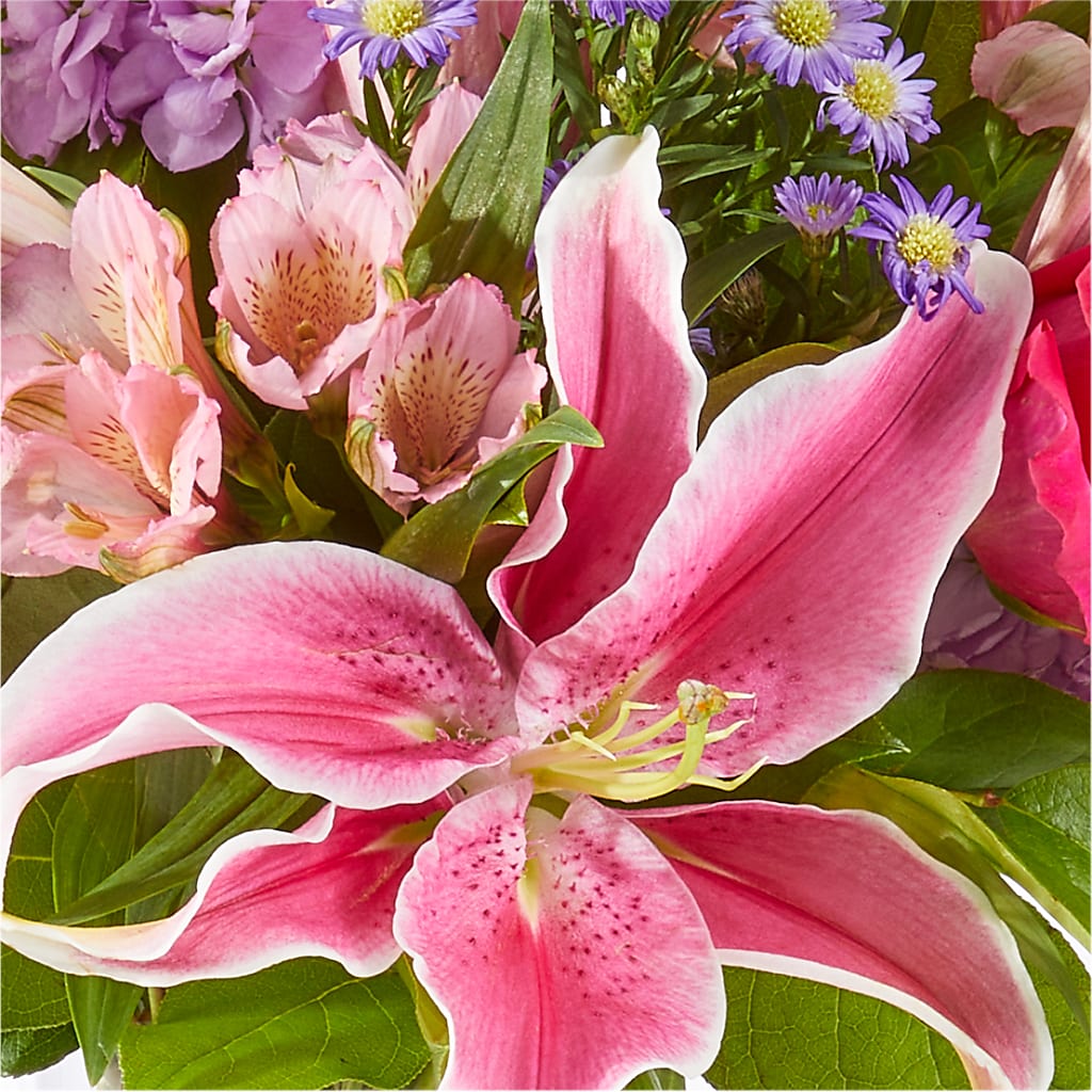 Written in the Stars Bouquet –  J Flowers, Tipp City OH
