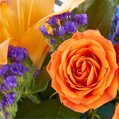 Radiant Citrus Box Bouquet –  J Flowers, Tipp City OH