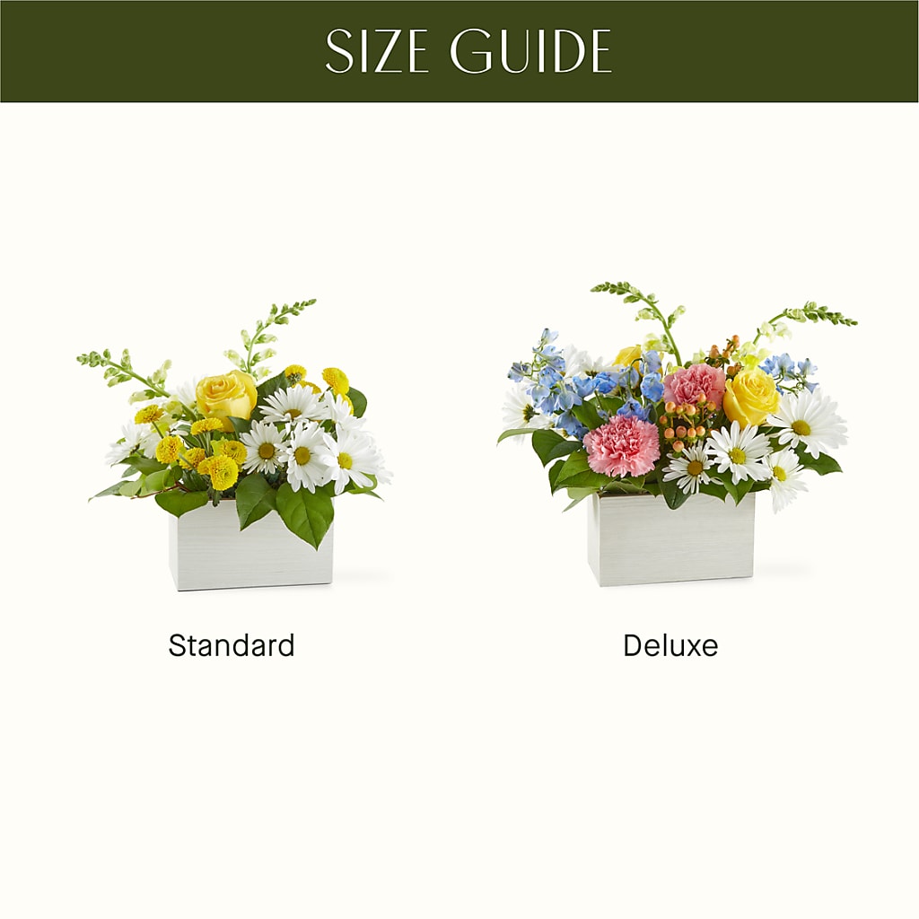 Sun Salutation Box Bouquet –  J Flowers, Tipp City OH