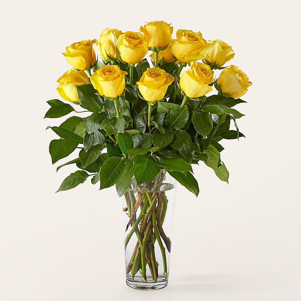 Long Stem Yellow Rose Bouquet –  J Flowers, Tipp City OH