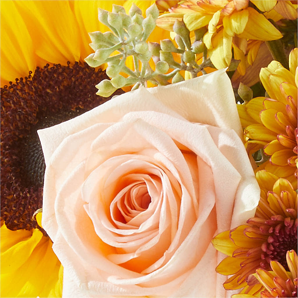 Pumpkin to Talk About Bouquet –  J Flowers, Tipp City OH