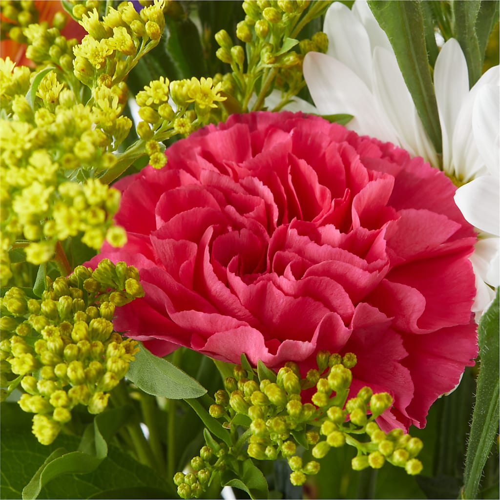 Oopsie Daisy Bouquet –  J Flowers, Tipp City OH