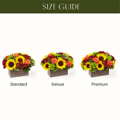 Happy Harvest Garden –  J Flowers, Tipp City OH