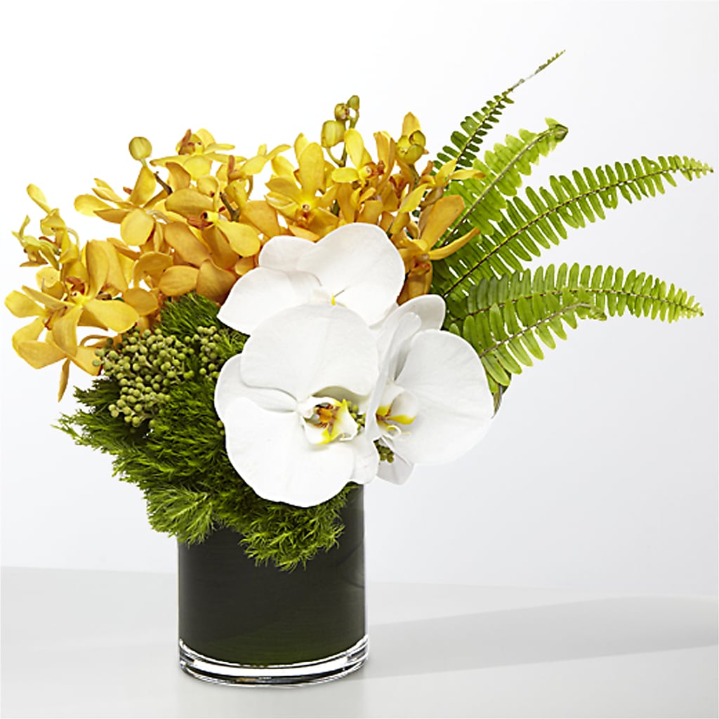 The Tropics –  J Flowers, Tipp City OH