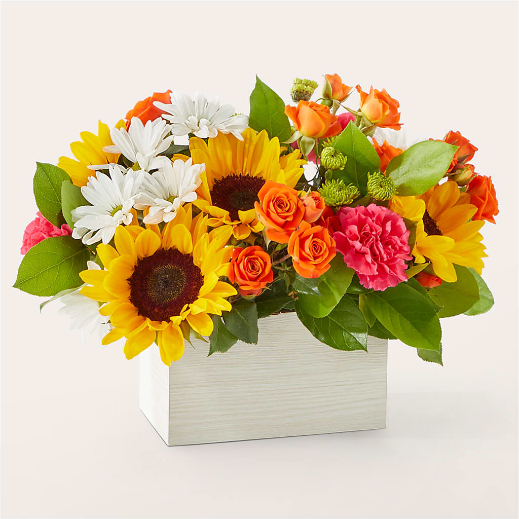 Sun-drenched Blooms Box Bouquet –  J Flowers, Tipp City OH