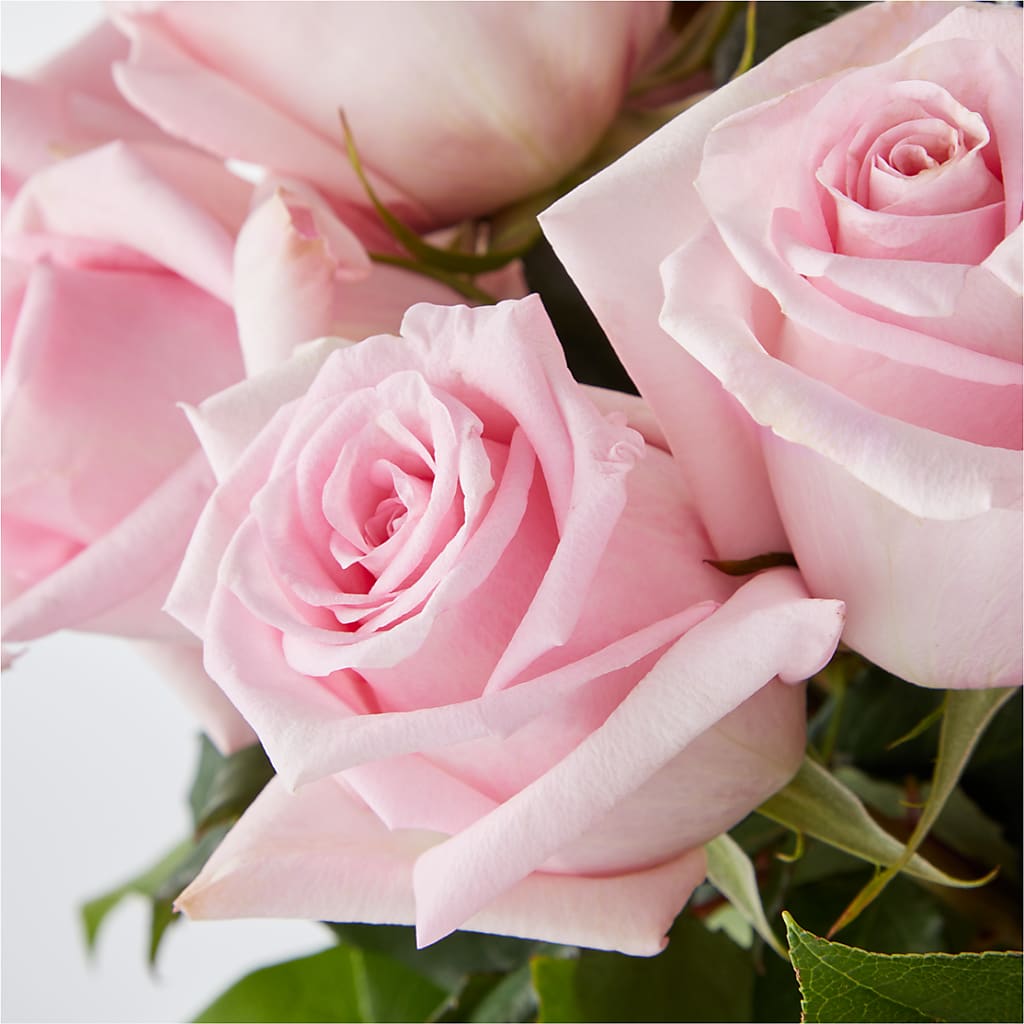 Picture Perfect Pink Rose Bouquet –  J Flowers, Tipp City OH