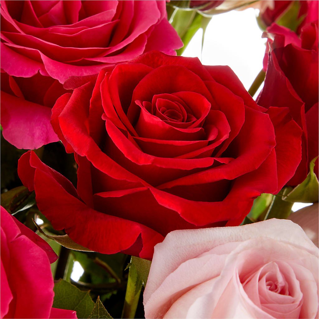 Love Notes Rose Bouquet –  J Flowers, Tipp City OH