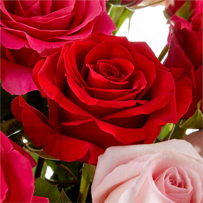 Love Notes Rose Bouquet –  J Flowers, Tipp City OH