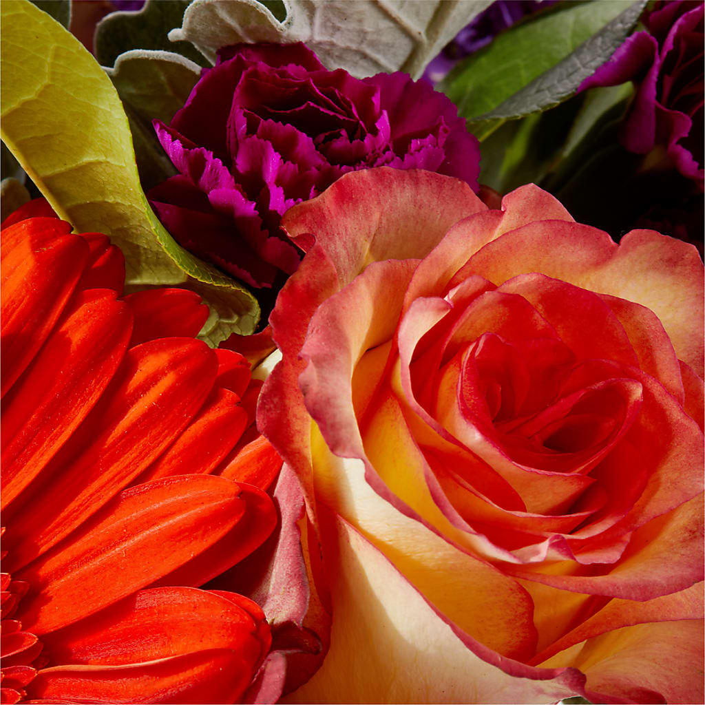 Sangria Bouquet –  J Flowers, Tipp City OH