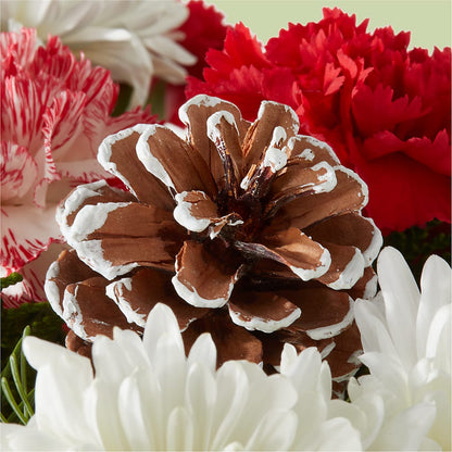Candy Cane Lane Bouquet –  J Flowers, Tipp City OH