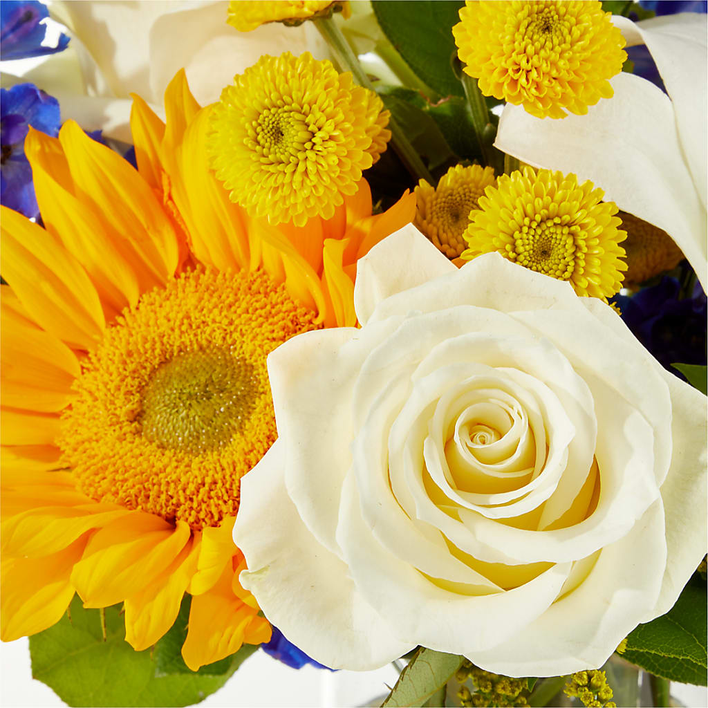 Stargazing Bouquet –  J Flowers, Tipp City OH