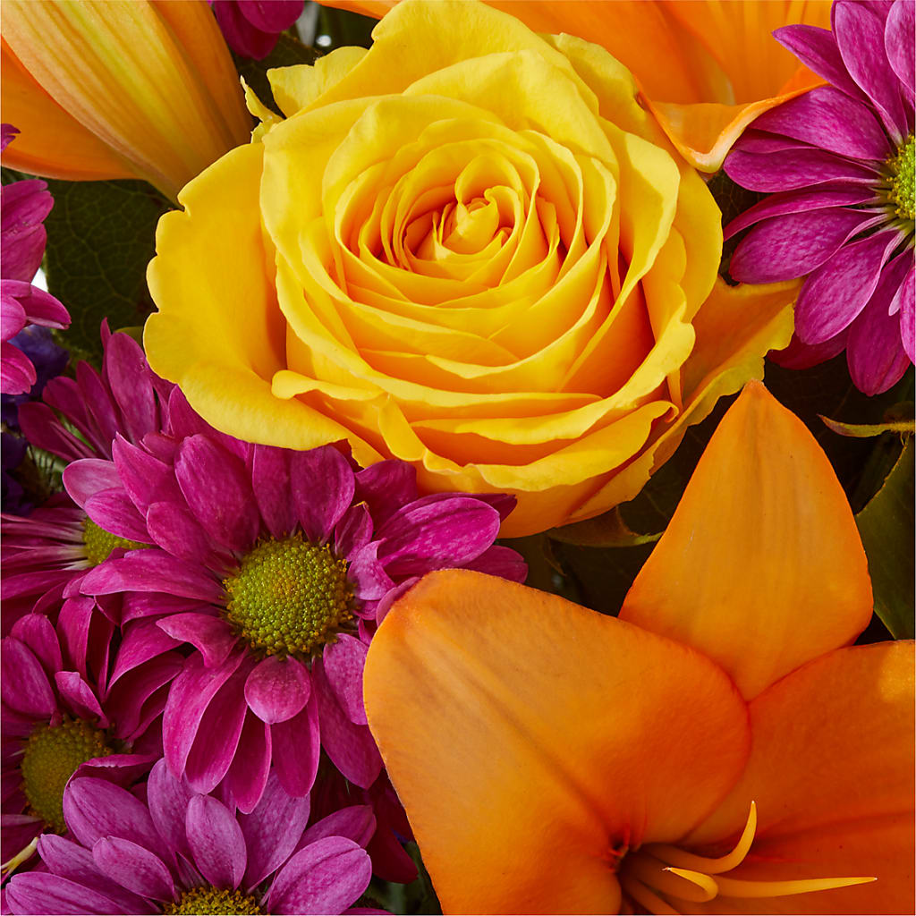 Colorful Visions Bouquet –  J Flowers, Tipp City OH