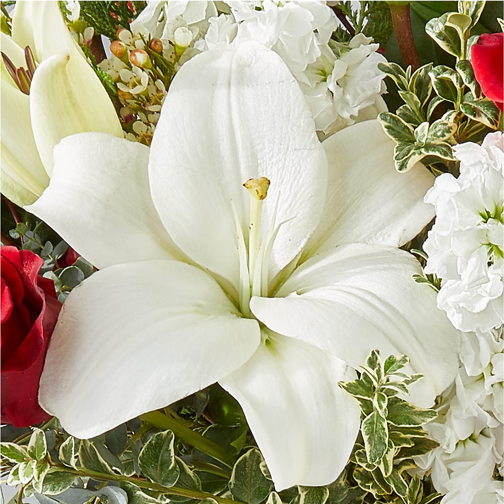 Twinkle Lights Bouquet –  J Flowers, Tipp City OH