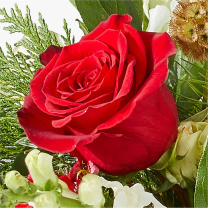 Deck the Halls Bouquet –  J Flowers, Tipp City OH