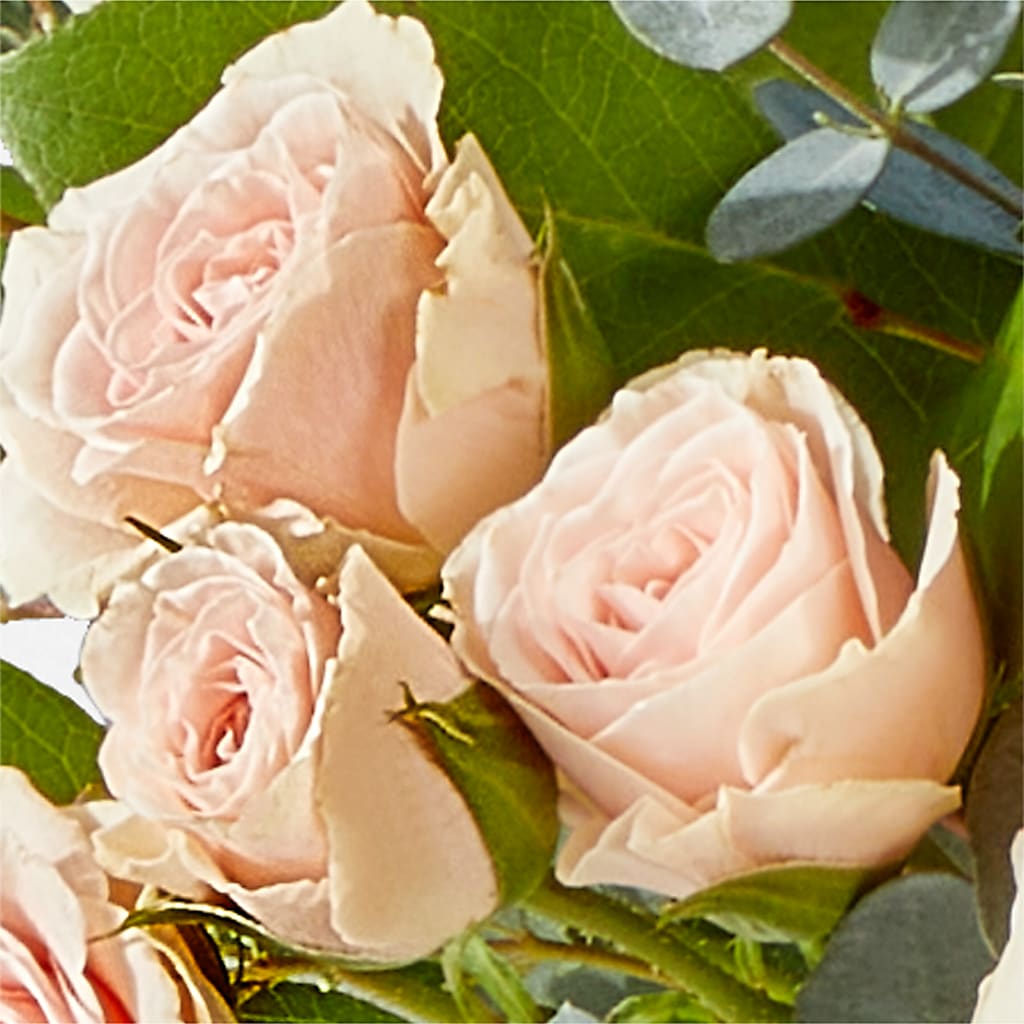 Inspired Bouquet –  J Flowers, Tipp City OH