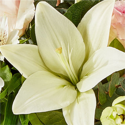 Ballet Slippers Bouquet –  J Flowers, Tipp City OH