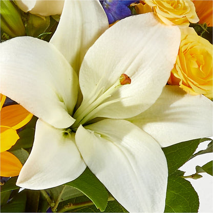 Wonderfully Sunny Bouquet –  J Flowers, Tipp City OH