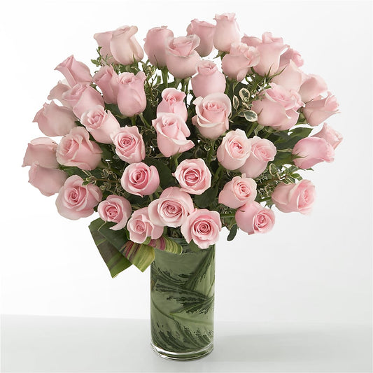 Pink Essence –  J Flowers, Tipp City OH